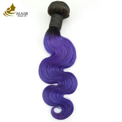 Китай Фиолетовый волнообразный теневой человеческие волосы расширения 26 дюймов продается
