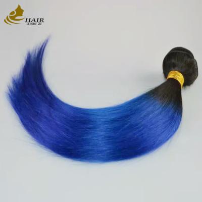 China Girl Raw Brazilian Ombre Human Hair Extensions Bundles Blue 1B for sale