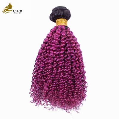 China Afro Kinky Curly Root Dark Purple Ombre Virgin Human Hair Bundles para venda à venda