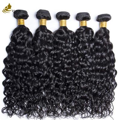 Chine Natural Black Water Wave virgin Human Hair Bundles à vendre