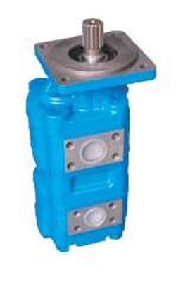 China CBHS-DL1 Double Gear Pump Power Gear Hydraulic Pump 1000r/Min for sale