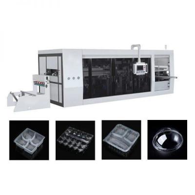 China High Safety Foam Manufacturing Machine PET Thermoforming Machine for sale