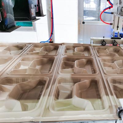 Κίνα Βιοδιασπάσιμο μίας χρήσης κιβώτιο συσκευασίας τροφίμων που κατασκευάζει τη μηχανή προς πώληση