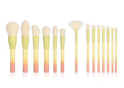 China Vonira 14Pcs/Set Gradient Makeup Brushes Cosmetic Face Eye Shadow Set for sale