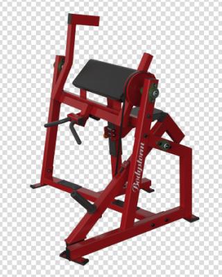 China strength machine Multi fitness equipment seated biceps gym machine for gym center for sale