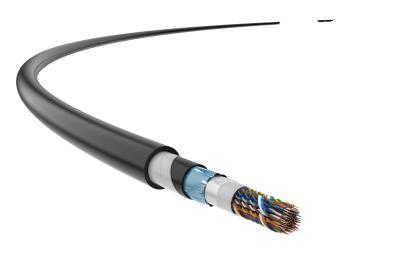 China Armored Telephone Cable Multi Pair Network Cable Outdoor Telephone Cable for sale