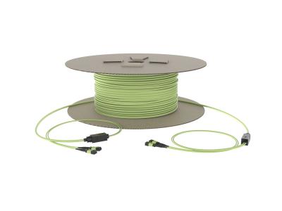 China Base del cable 24 del tronco del cable de fribra óptica OS2 MTP de MPO en venta