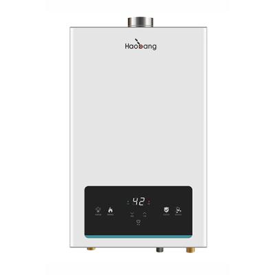 China 10L Tankless Gas Water Heater Indoor Instant Shower Forced Exhaust Type for sale