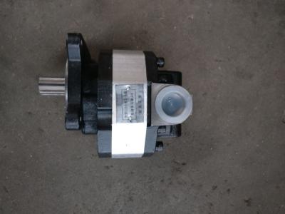 China Rust Resistant SS Hydraulic Gear Pump Mini Loader Parts for sale