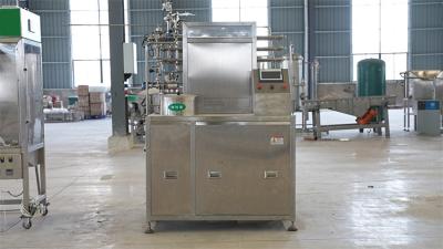 China Stainless Steel Mango Processing Line for Reliable and High Capacity Production for sale