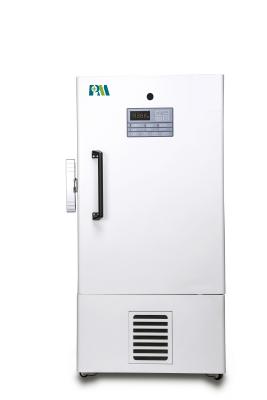 Cina -86 congelatore Ult interno di acciaio inossidabile di gradi con 180 litri per uso del laboratorio in vendita
