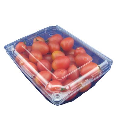 China Eco Friendly Disposable PET Fruit Plastic Packaging Boxes OEM for sale