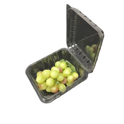 China Strawberry Plastic Packaging Boxes PET Clamshell Containers for sale
