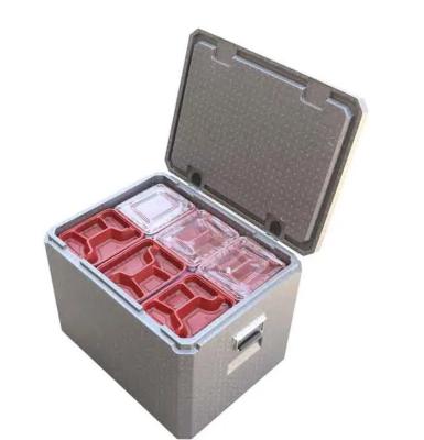 China Versatile Superior Protection EPP Foam Cooler Packaging Box for sale