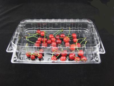 China Eco Friendly Disposable Clear Plastic Blister Plastic Packaging Boxes 500g for sale