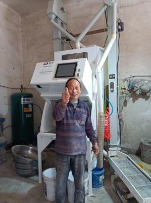 China CCD Rice Corn Peanut Sorting Machine 99.99% Accuracy en venta