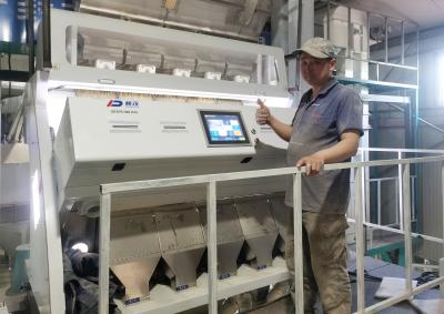 中国 Dream Plus Rice Grain Sorting Machine 5 Chutes 320 Channels 販売のため