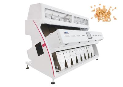 China Windows7 Software Wheat Color Sorter for Sorting Wheat by Color en venta