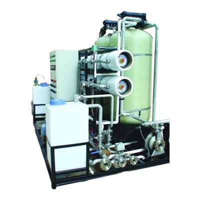 China 1T-100T Per Day Reverse Osmosis RO Seawater Desalination Plant for sale