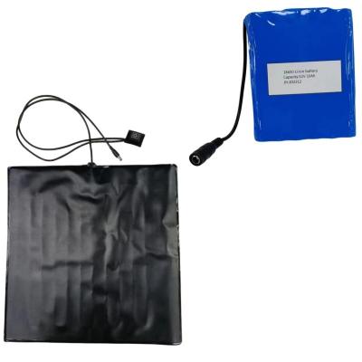 China Custom 12V 10Ah Battery Heating Pads Set PVC Pad 35x35cm For Pizza Delivery Bag for sale