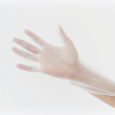 China Multifunctional Garden Working Cleaning Disposable PVC Gloves for sale