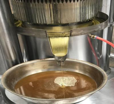 China máquina hidráulica para el aceite de nuez de macadamia otras máquinas de proceso de las nueces en venta