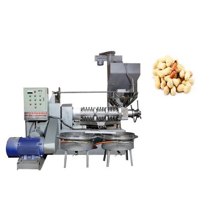 China Screw Cold Press Peanut Oil Line Peanut Oil Processing Machine Oil Press Machine en venta
