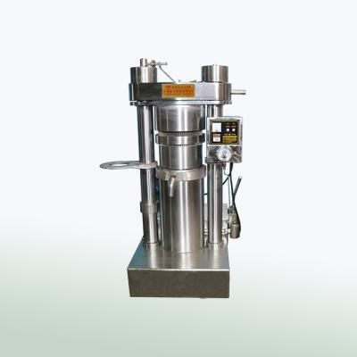 China Extrator frio automático do óleo da imprensa, máquina pequena 670 * 950 * 1460mm da extração do óleo à venda