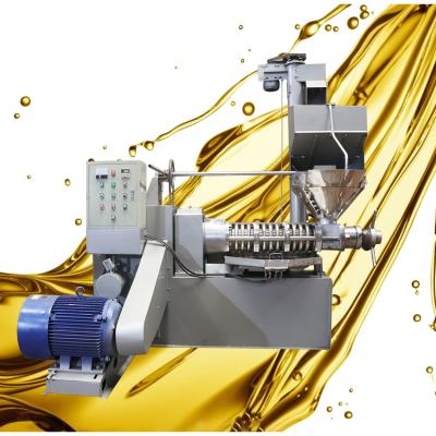 China High Oil Rate Screw Oil Press Machine Cashew Oil Extractor Machine for sale