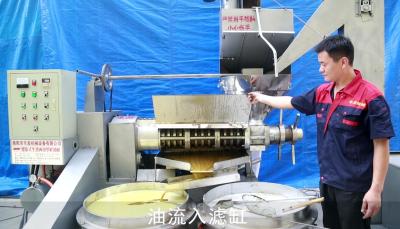 China Multifunction Screw Moringa Oil Press Machine High Working Efficiency for sale