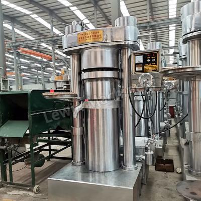 Cina macchina della stampa di olio idraulico 1.1kw per l'olio di sesamo 20kg/Batch in vendita
