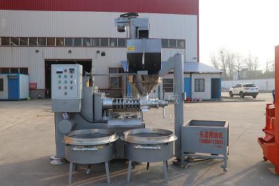 China Linha de produção de petróleo completa pequena escala do coco de Olive Screw Oil Press Machine à venda