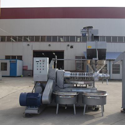 China 300-600 kg/h Peanut Oil Extraction Machine Sunflower Oil Making Machine for sale