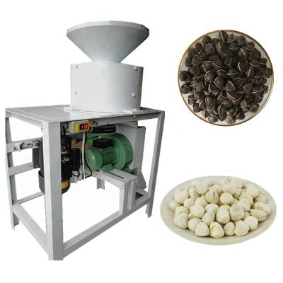 China 1.5 Kw Peanut Peeling Machine Moringa Seed Peeling Machine 200-300 kg/h for sale