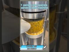 Press sasame oil by hydraulic oil machine