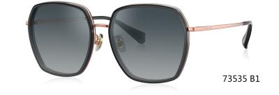China PARIM Popular PA UV400 Protection Lenses Fullrim Metal Alloy Women 2022 Sunglasses #73535B1/P1/V1/W1 for sale