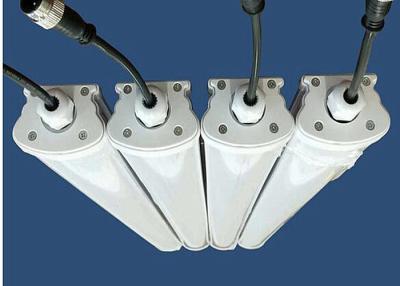 Cina Tri lampada eccellente AC100 - 277V della prova di efficienza LED per l'operazione del lavaggio in vendita