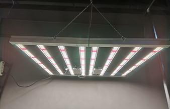 China 600w Indoor LED Grow Light Indoor Plant Grow Lights AC85 - 265V Input Voltage for sale