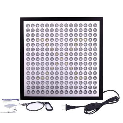 China Lightweight Energy Efficient Grow Lights Led Flowering Grow Lights 3 Years Warranty for sale