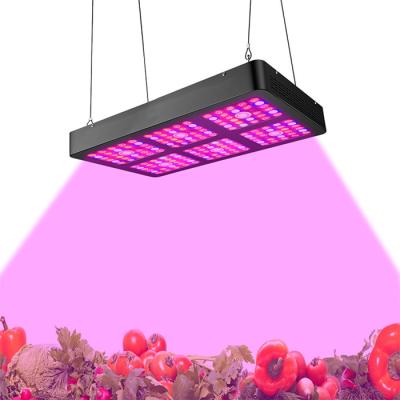 China Low Power Consumption Indoor LED Grow Light Full Spectrum Growth Light 400W - 800w for sale