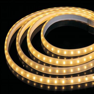 China High Voltage LED Strip Light Waterproof RGB Version for sale