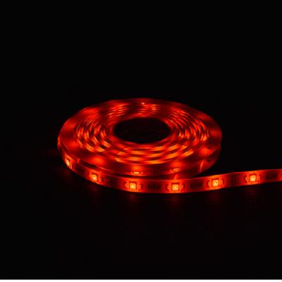 China SMD Smart Flexible 38w Outdoor Rgbw Led Strip Lights Waterproof for sale