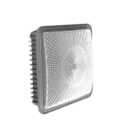 China Water Proof Ip65 50w To 200w Led Canopy Lights Outdoor for sale