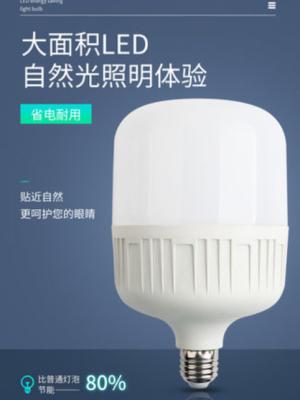 China Energy Saving EMC Brightest Indoor Led Bulb Waterproof Household 20w for sale