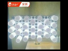 Indoor LED Light Bulbs