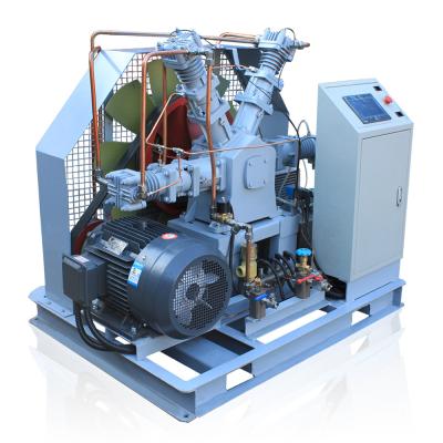 China Lubricated Oxygen Air Compressor Vertical High Pressure Oil Free Oxygen Compressor for sale