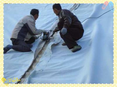 China Road building fabric recycle polyester nonwoven geotextile,Road building fabric recycle polyester nonwoven geotextile for sale