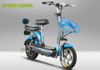 China Two Wheels Electrically Assisted Pedal Cycles , Pedal Assist And Throttle Bike 14