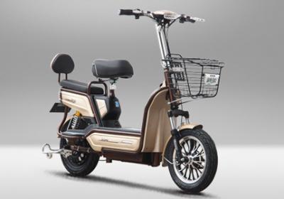China Pedal Assisted Throttle Activated Electric Bike 48V 500W Two Wheels 38KM/H for sale
