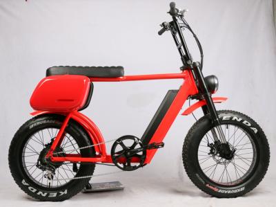 China 48V 750W New design 2022 Electric Fat Tire Bike , Electric Fat Tire Bicycle EN15194 for sale